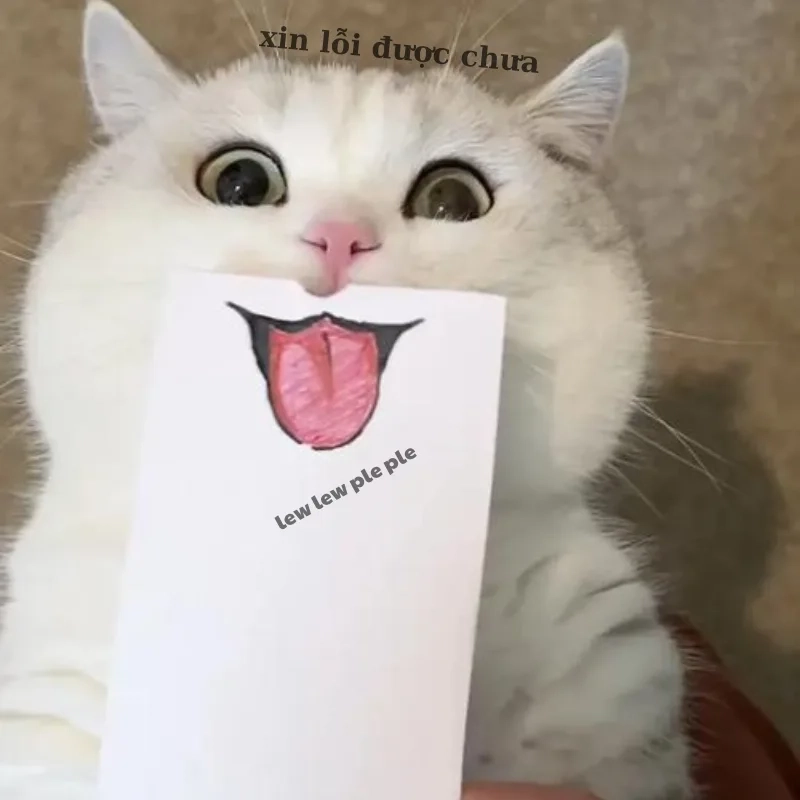 ảnh chế meme mèo bựa 6