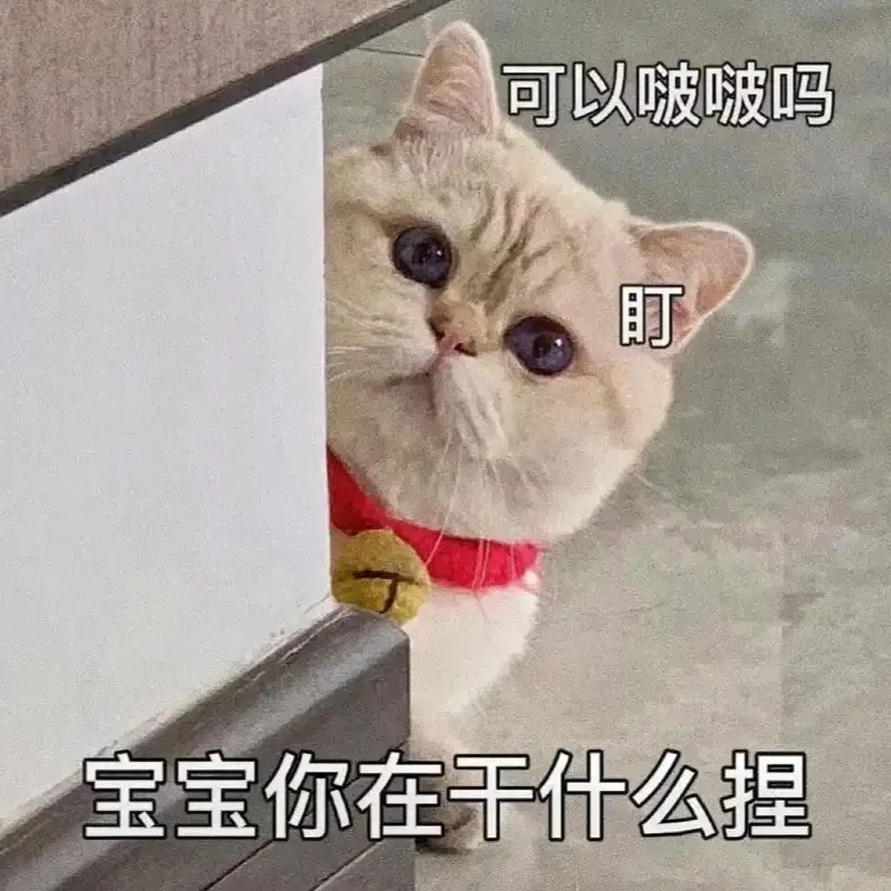 meme mèo Tết 45