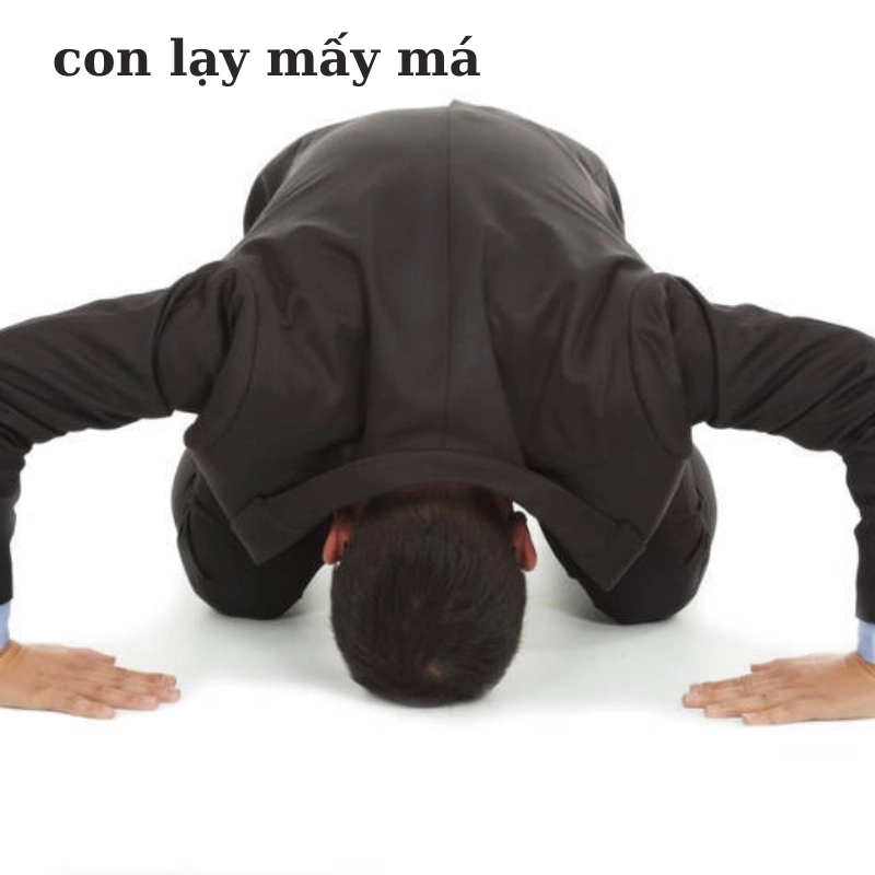 meme lạy 2