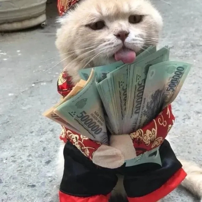Meme tiền 12