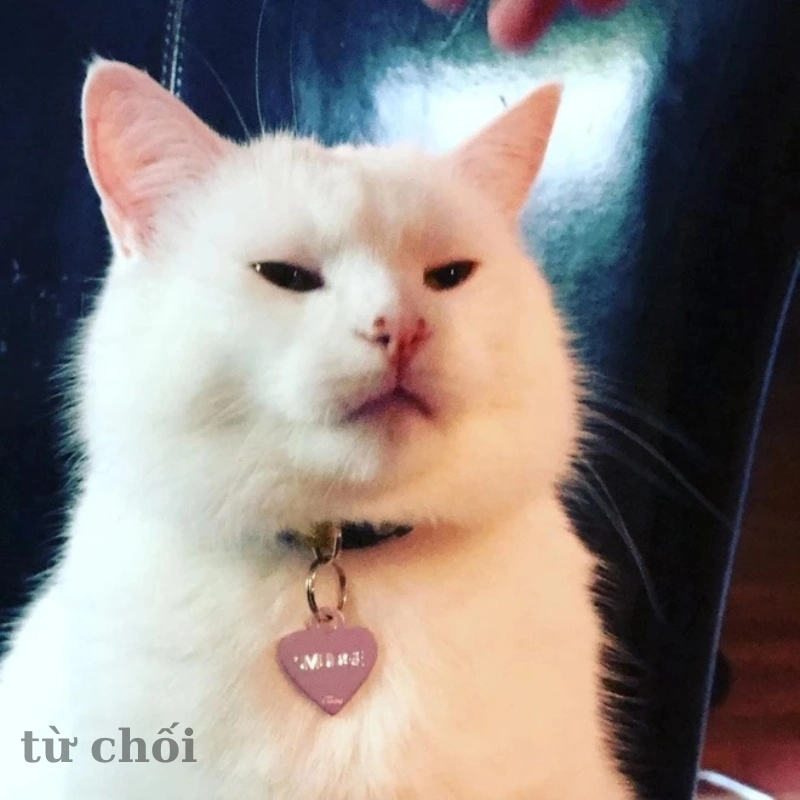 meme từ chối 6