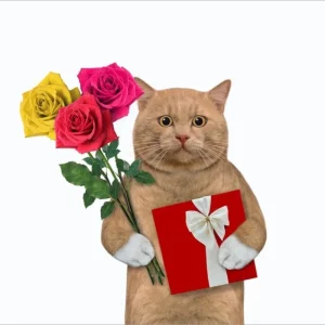 119+ Meme Mèo Tặng Hoa Siêu Đáng Yêu Đốn Tim Bạn