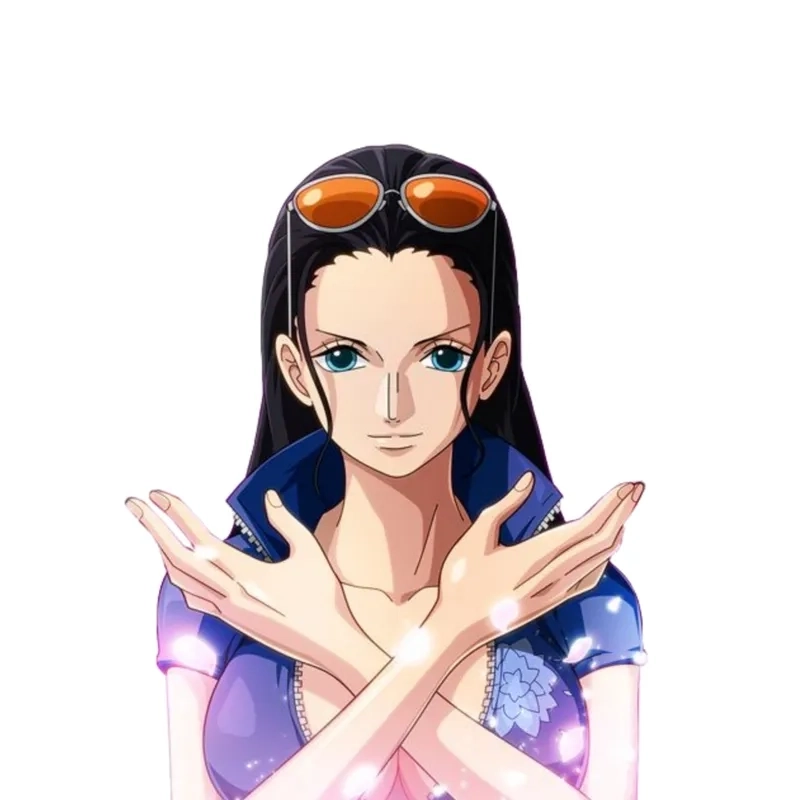 nico robin wano 9