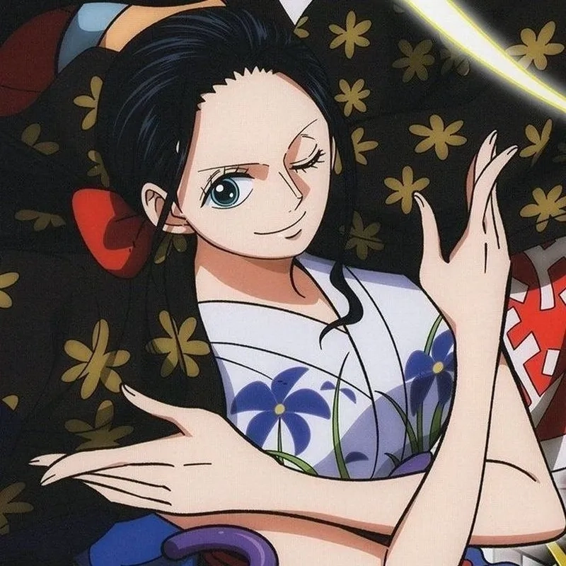nico robin wano 3
