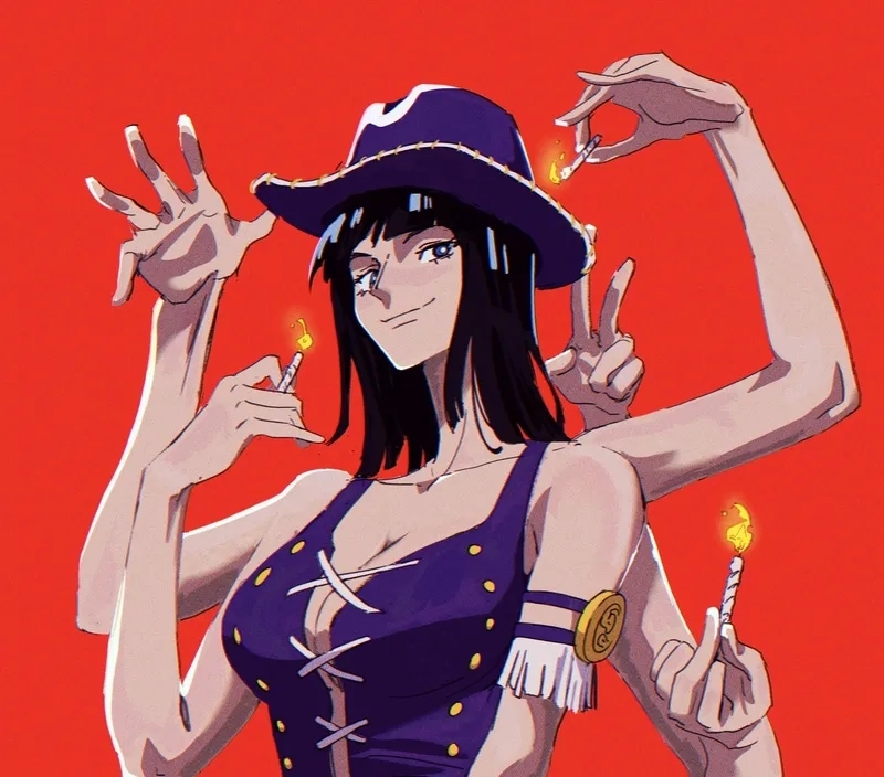 nico robin wano 8