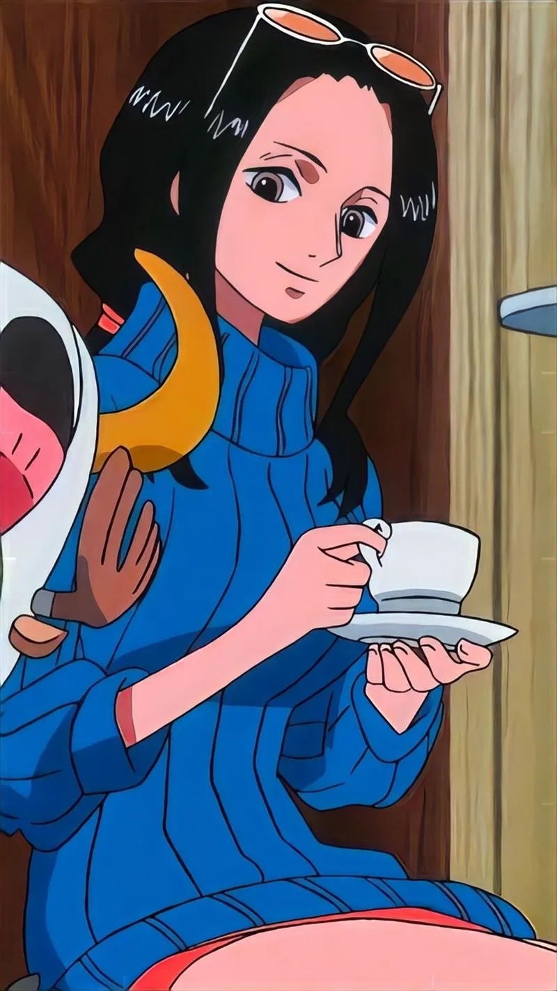 nico robin wano 13