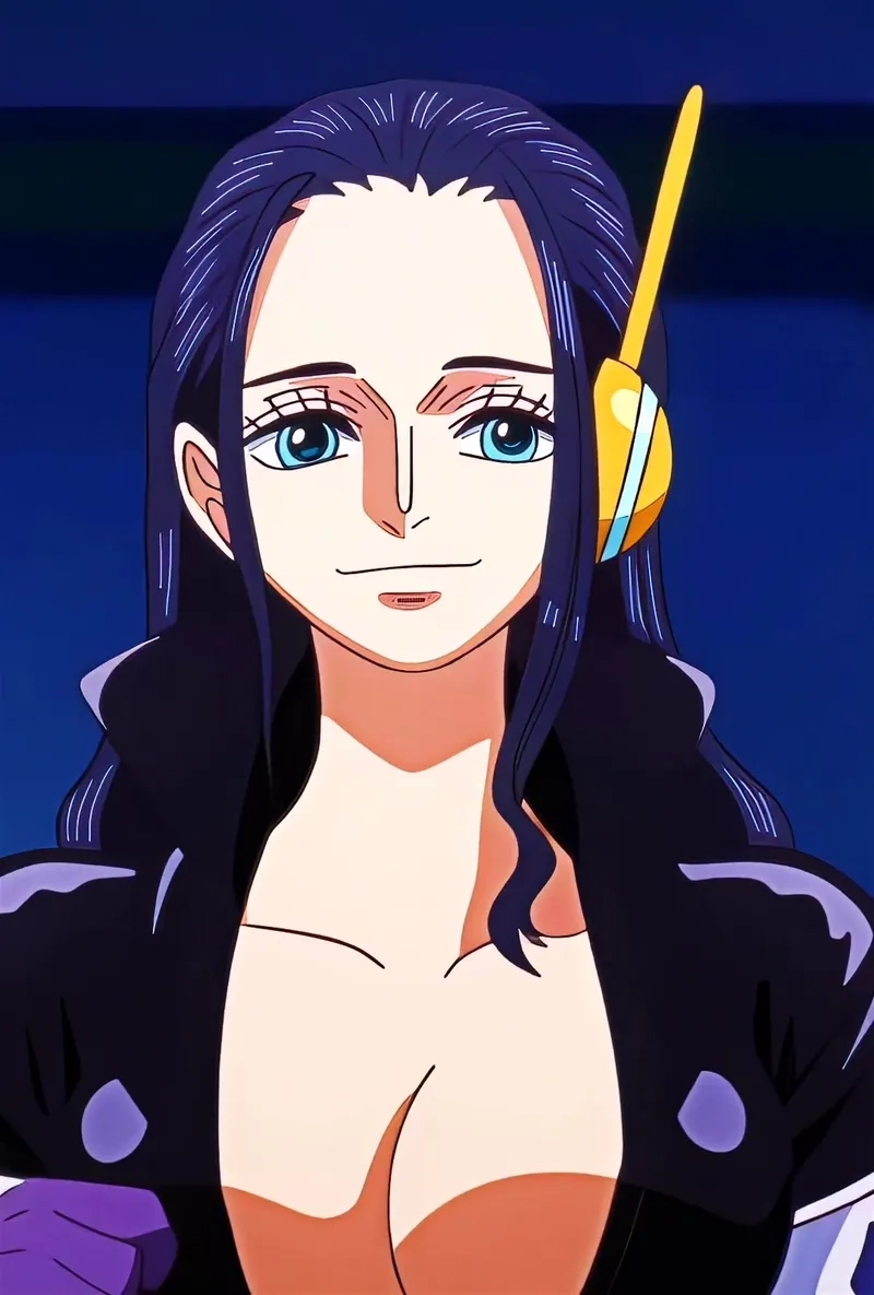 nico robin wano 14