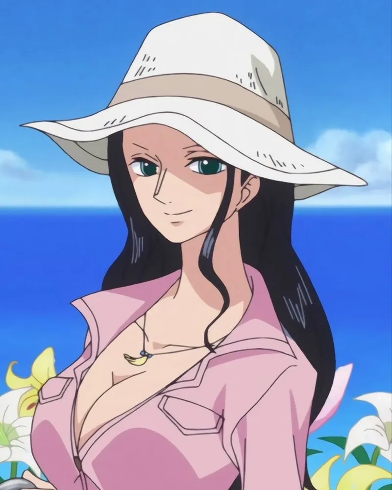 nico robin wano 15